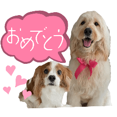 misa.mizu_20241119214439