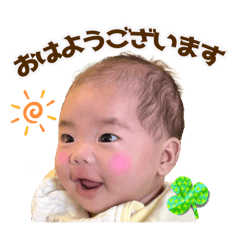 Kotchan up to 4 months old