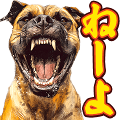 細かい事にガチギレ犬2