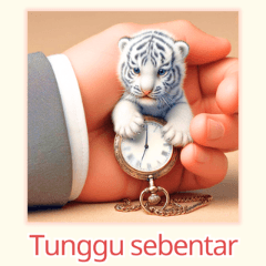 Mini White Tiger Collection3:Indonesian