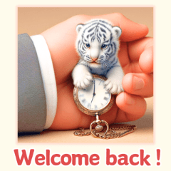 Mini White Tiger Collection3:English