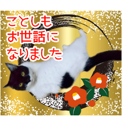 Mitsuo's daily stamp New Year ver.