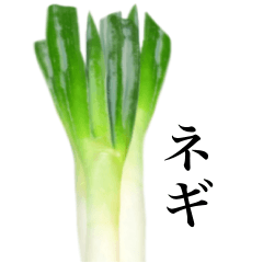 Delicious Spring onion 4