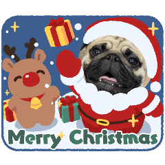 pug okoge_20241119215608