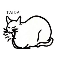 standard taidaneko