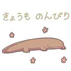 Laid-back giant salamander