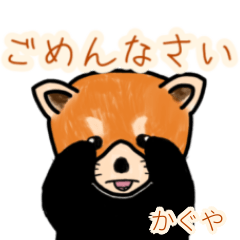 Kaguya's lesser panda