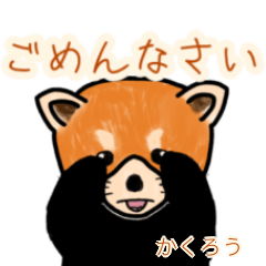 Kakurou's lesser panda