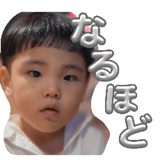kurukurukurumi_20241119232759