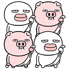 Pig behavior