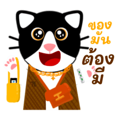 Meow TaTar : New Year and Festivals