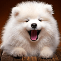 Samoyed Dog Fluffy Stamp2