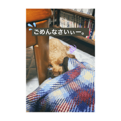 RAIKA_20241120144609