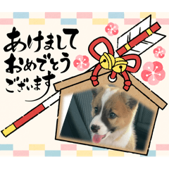 menchan_20241120144948