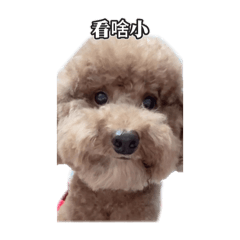 阿嘟嘟是嘟嘟
