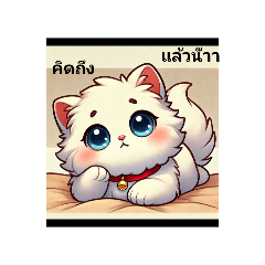 mochi_20241120194742