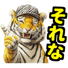 Baseball and daily life for Tiger fans2