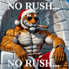 Santa Tiger-kun