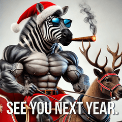 Zebra Santa-kun