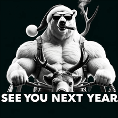 Polar Santa Bear