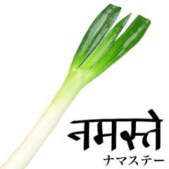 Delicious Spring onion 10