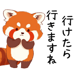 Consideration & Excuses Red Panda