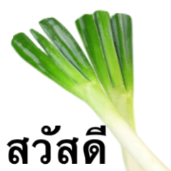 Delicious Spring onion 6