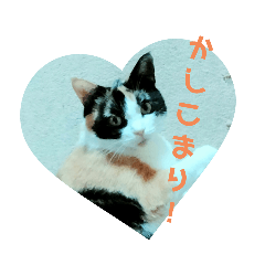 ほたるスタンプHotaru