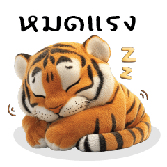 เจ้าเสือสายแบ๊ว : Tiger cute