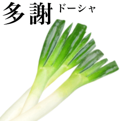 Delicious Spring onion 7