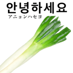 Delicious Spring onion 11