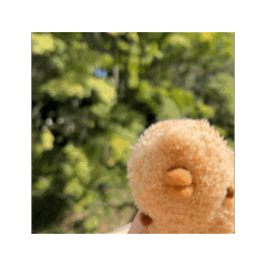 SAM_20241120190121