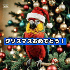 Festive Parrot Christmas Stickers