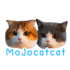 Mojocatcat