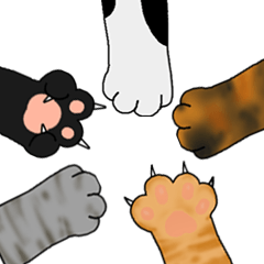 Cats' rock paper scissors