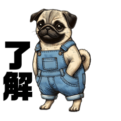 pug_denim