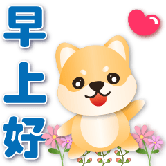 Cute Shiba---Practical greetings