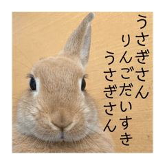 Peshi_20241122013910