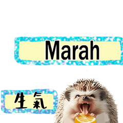 Cute greetings to cute hedgehogs-5