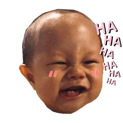 tofu_20241121232451