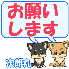 Jiroumaru's letters Chihuahua2