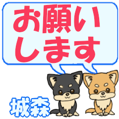 Shiromori's letters Chihuahua2