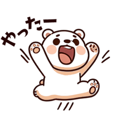 maichi_20241121152611