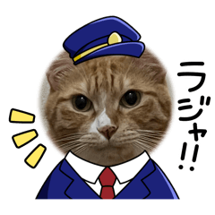 kanapi_20241121220155