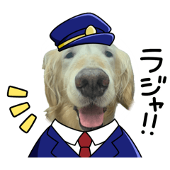 yokko_20241121215648
