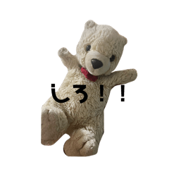 Nob_20241122002659