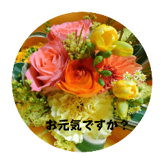 minn75_20241122104036