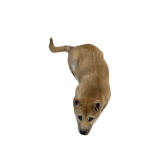 hima0813_20241122214334