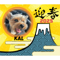 KAL20241126