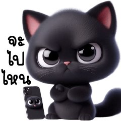 Luna cat So cute